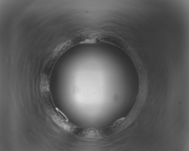 X0000085250384200703161259