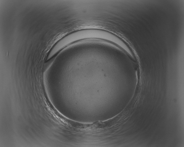 X0000085250385200703161258