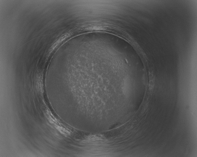 X0000085250386200703161258