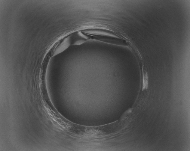 X0000085250387200703161258