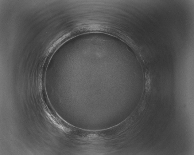 X0000085250390200703161258