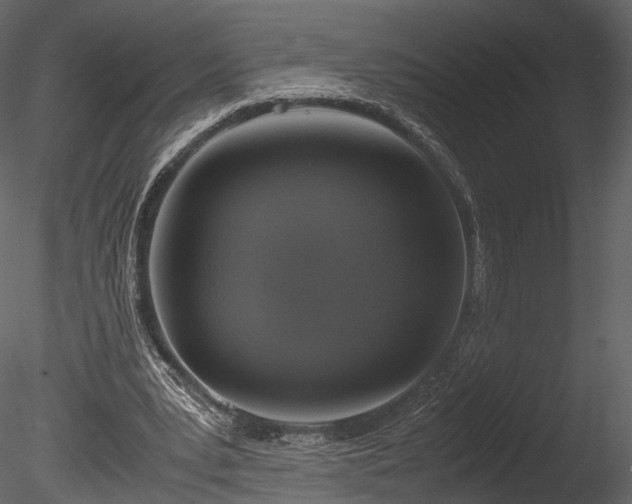 X0000085250391200703161258