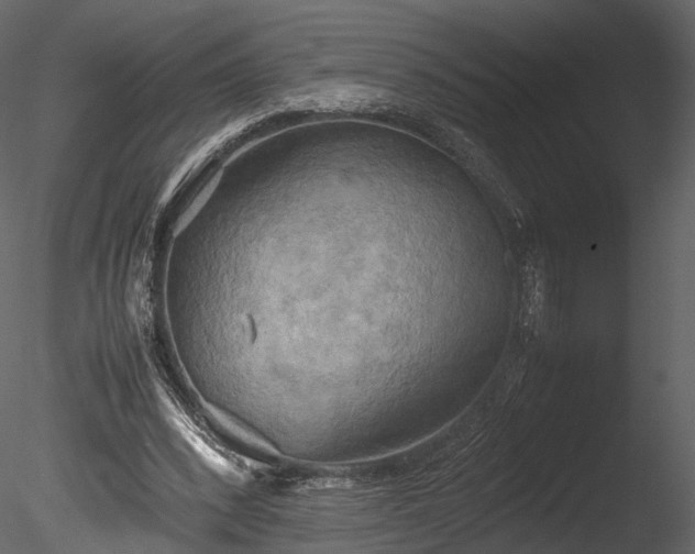 X0000085250392200703161258