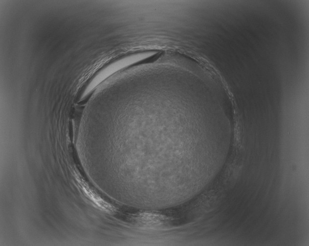 X0000085250393200703161258