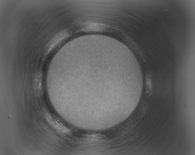 X0000085250396200703161258