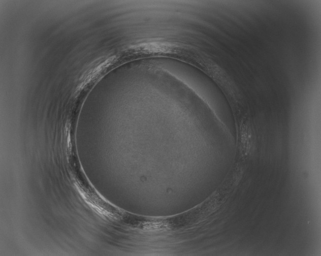 X0000085250398200703161258