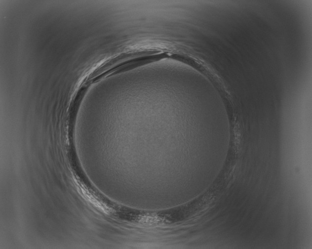 X0000085250399200703161258