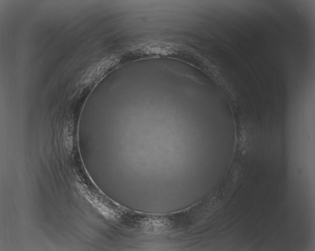 X0000085250402200703161258