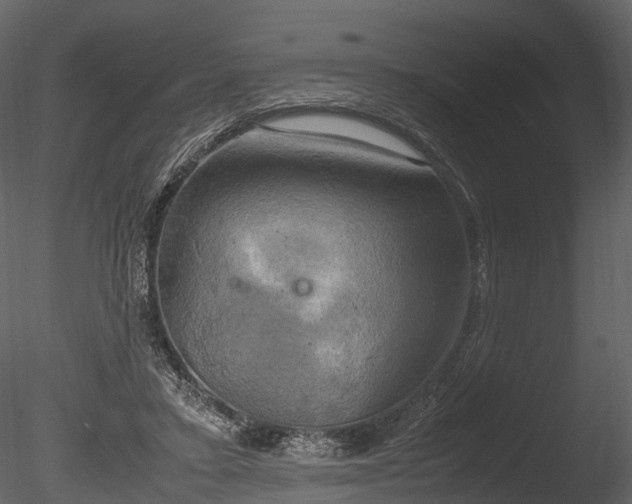 X0000085250403200703161258