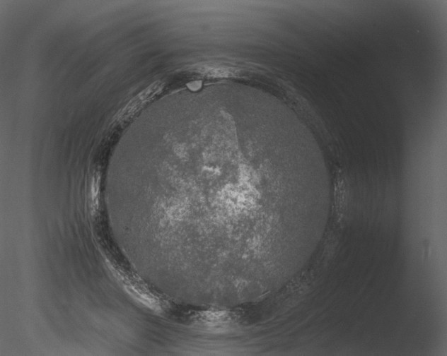 X0000085250406200703161257