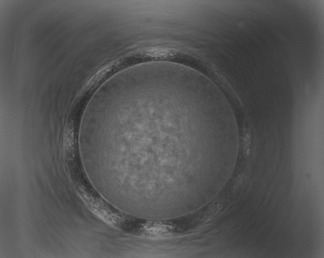 X0000085250407200703161257