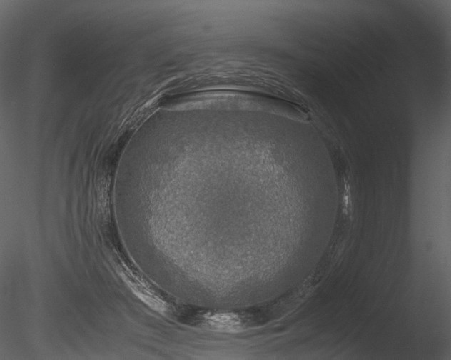 X0000085250409200703161257