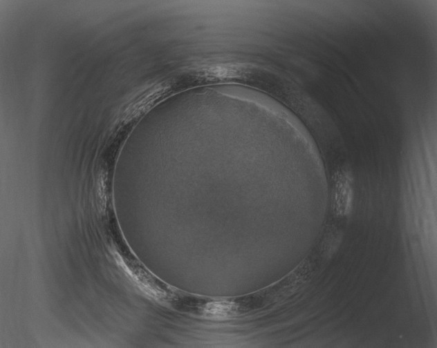 X0000085250410200703161257