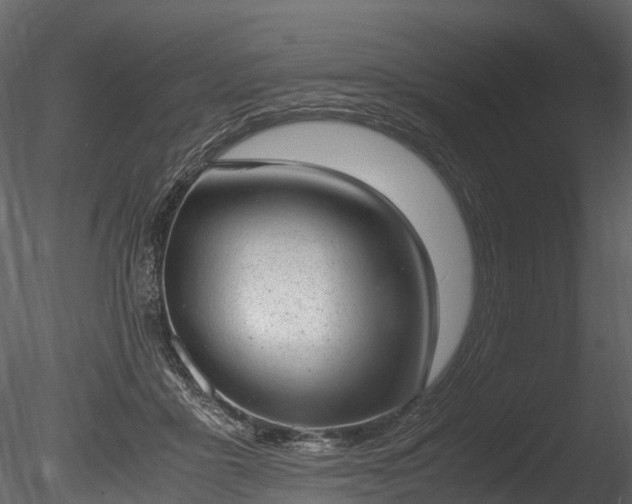 X0000085250411200703161257