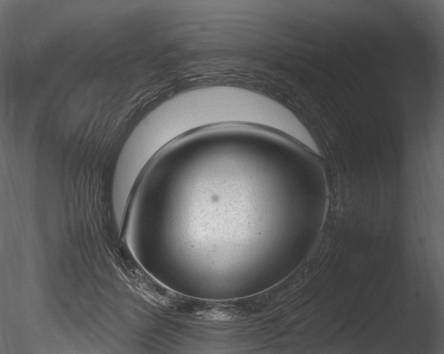 X0000085250412200703161257