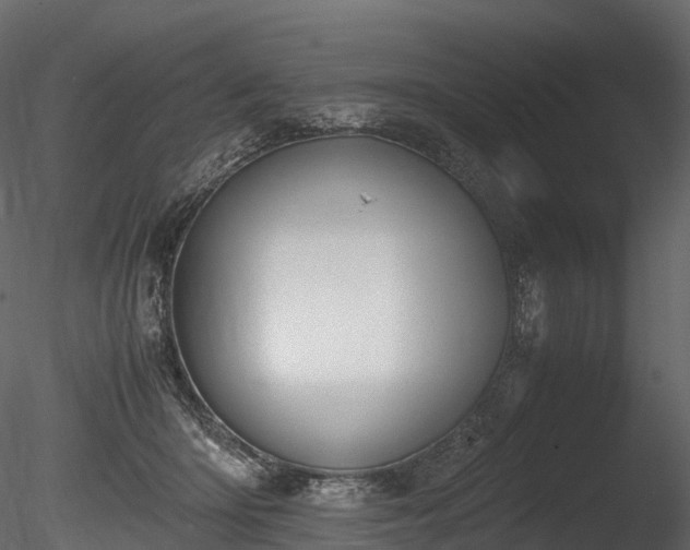 X0000085250414200703161257