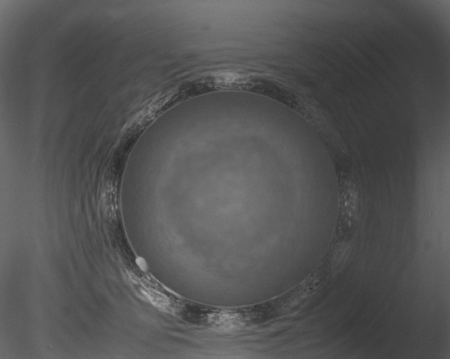 X0000085250419200703161257