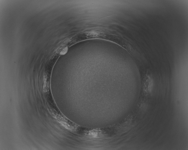 X0000085250420200703161257