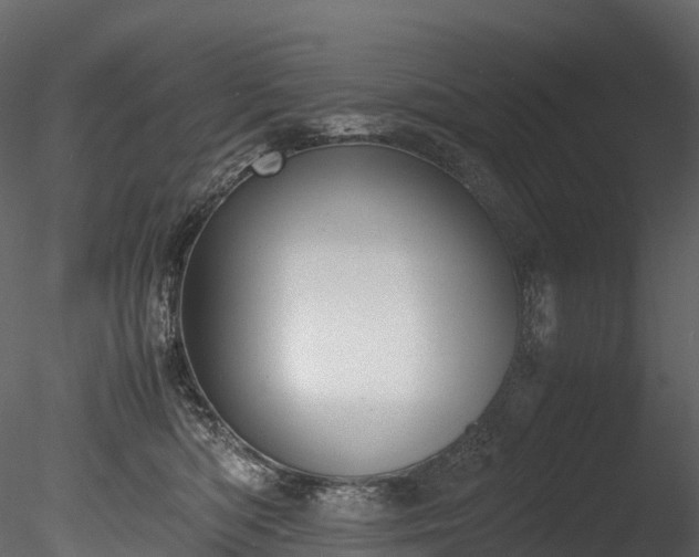 X0000085250422200703161257