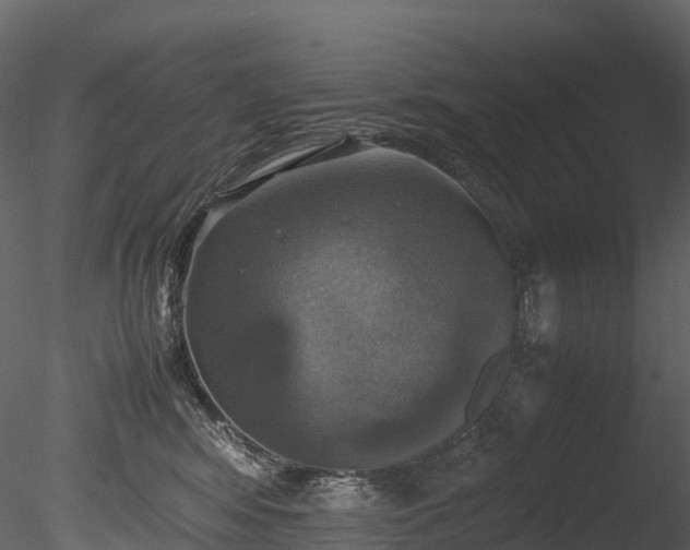 X0000085250424200703161257