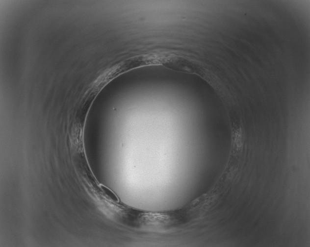 X0000085250429200703161257