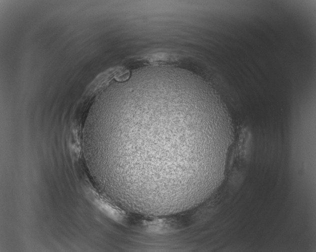 X0000085250430200703161257