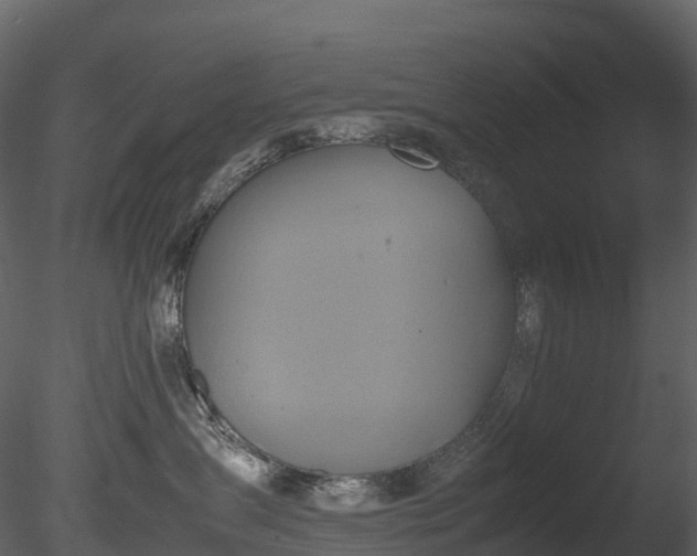 X0000085250431200703161257