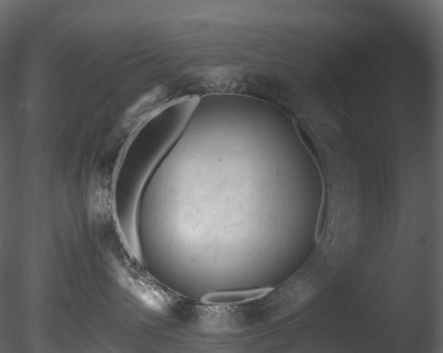 X0000085250432200703161257