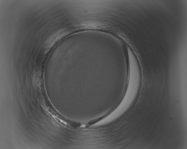 X0000085250434200703161256