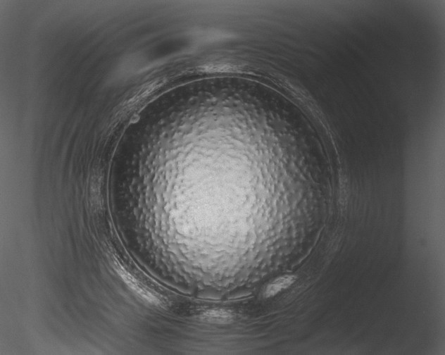 X0000085250441200703161256