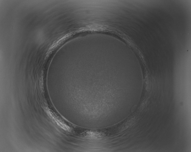 X0000085250442200703161256