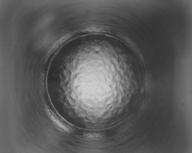 X0000085250445200703161256