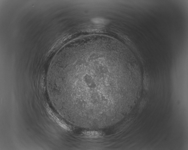 X0000085250449200703161256