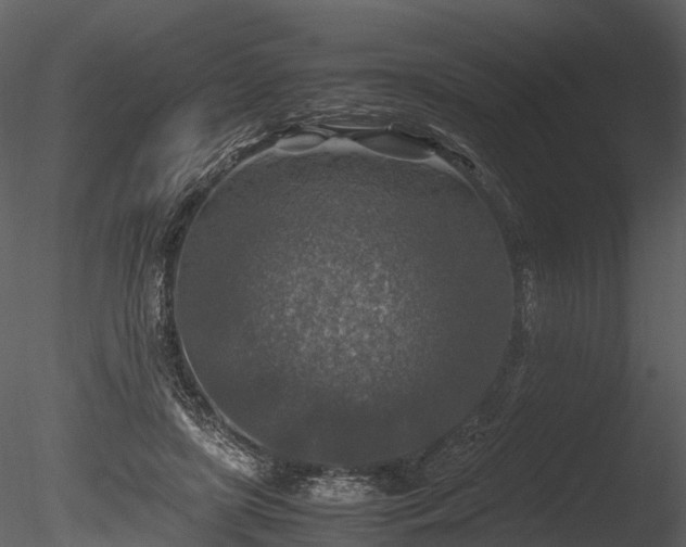 X0000085250451200703161257