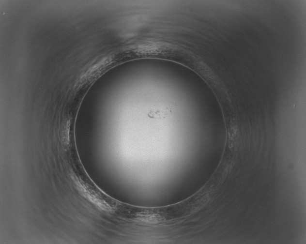 X0000085250454200703161257