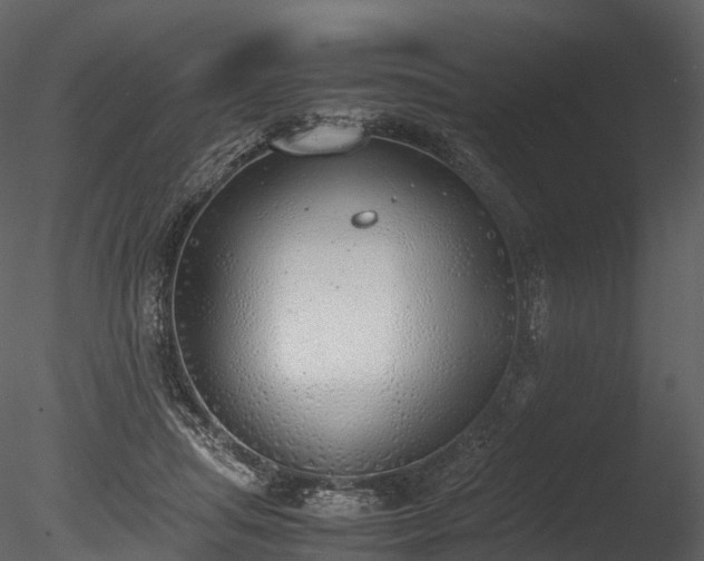 X0000085250455200703161257