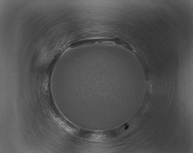 X0000085250458200703161257