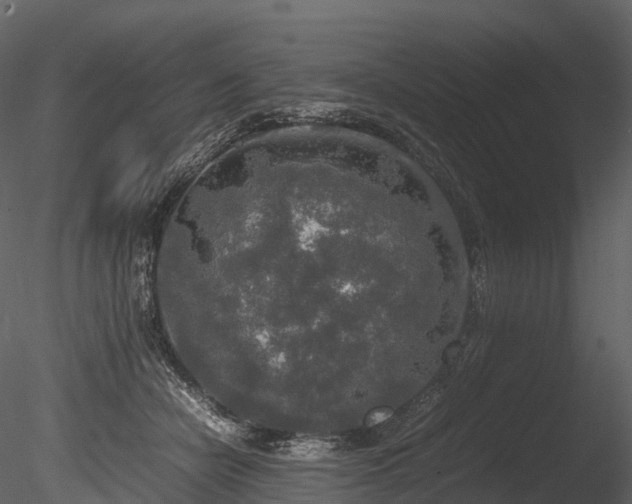 X0000085250462200703161257