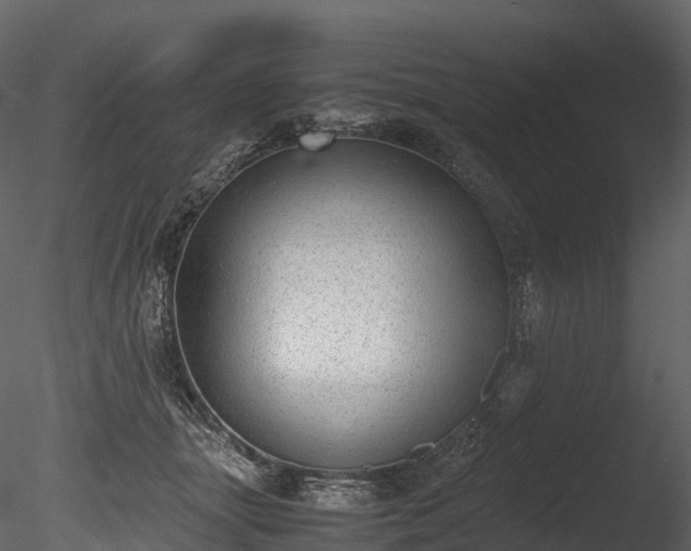 X0000085250463200703161257