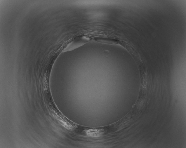 X0000085250465200703161257