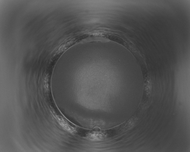 X0000085250466200703161257