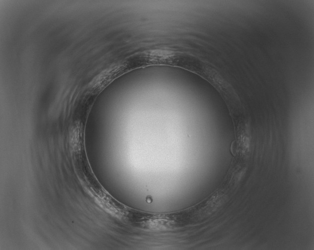 X0000085250468200703161257