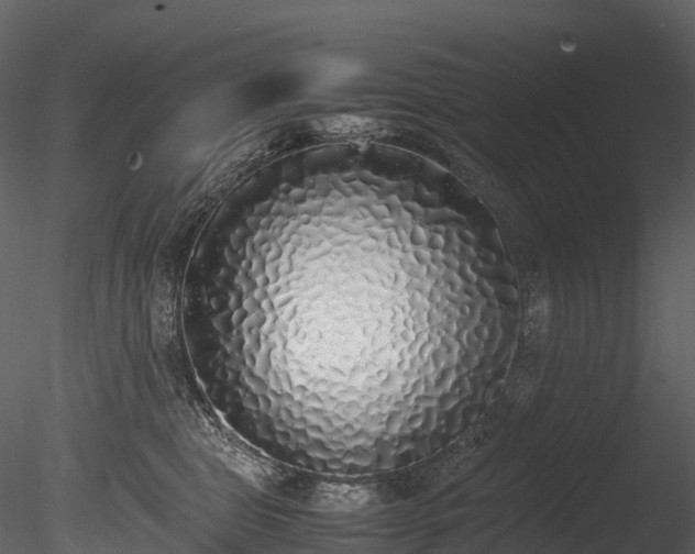 X0000085250469200703161257