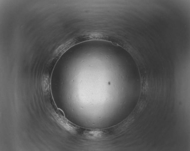 X0000085250478200703161257