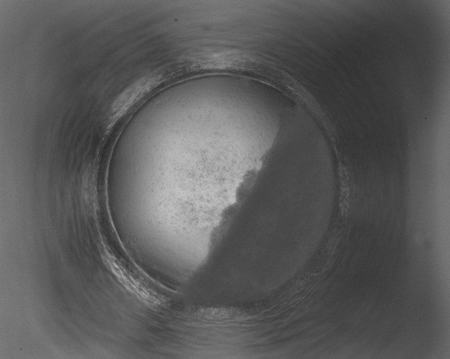 X0000085250482200703161256