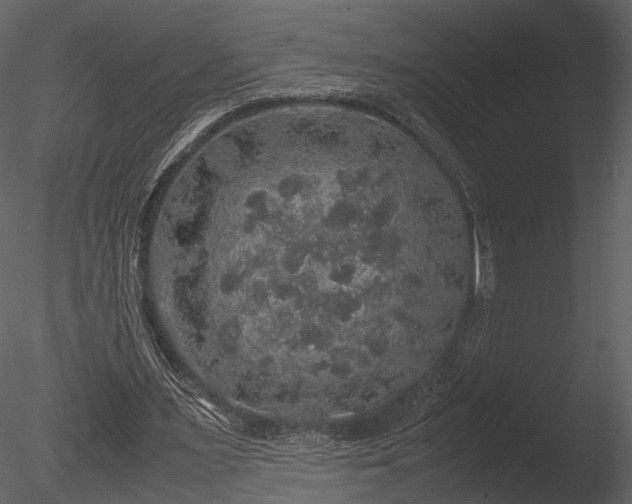 X0000085250483200703161256