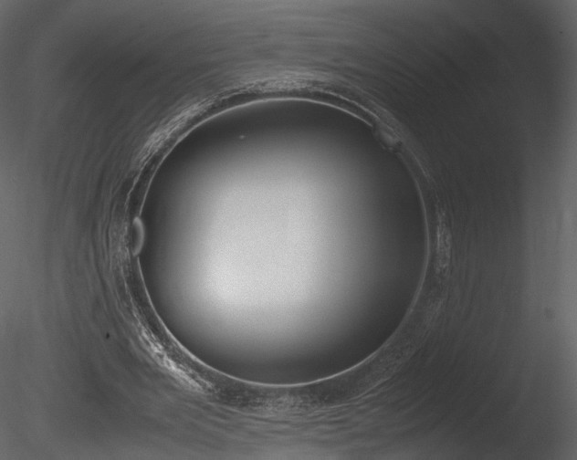 X0000085250485200703161256