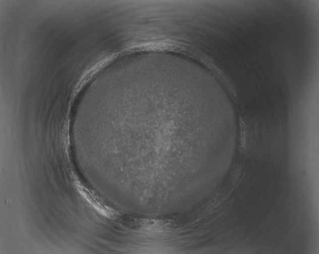 X0000085250486200703161256