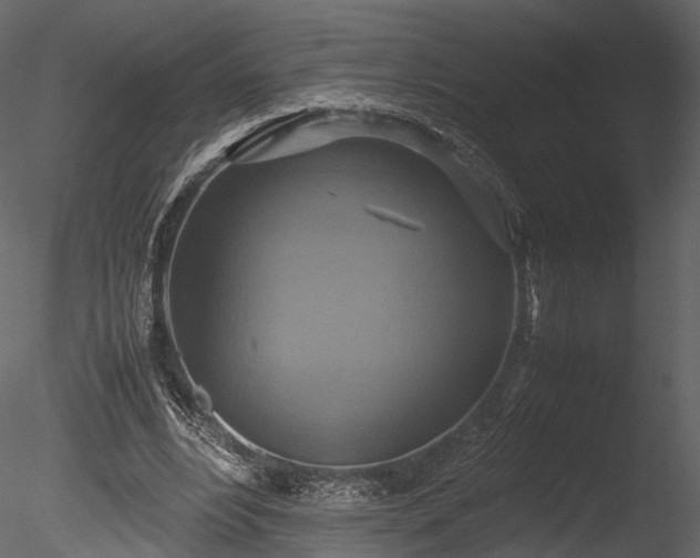 X0000085250488200703161256