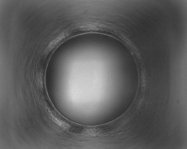 X0000085250489200703161256